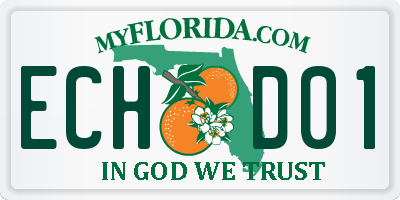 FL license plate ECHD01