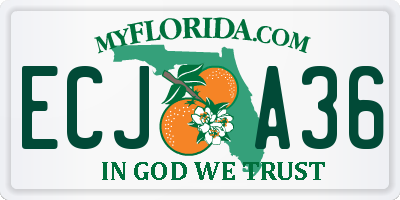 FL license plate ECJA36