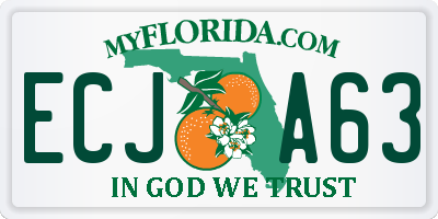 FL license plate ECJA63