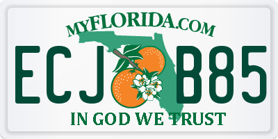 FL license plate ECJB85