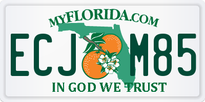 FL license plate ECJM85