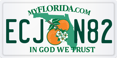 FL license plate ECJN82