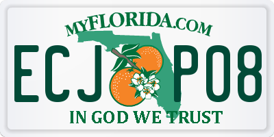 FL license plate ECJP08
