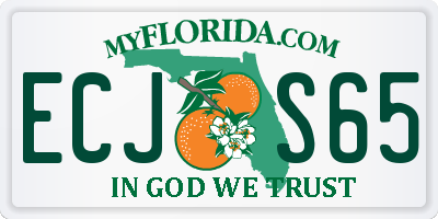 FL license plate ECJS65