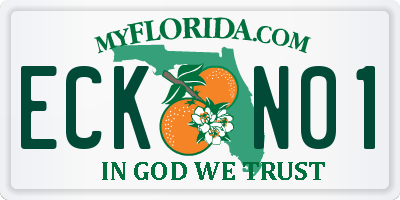 FL license plate ECKN01