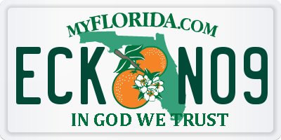 FL license plate ECKN09