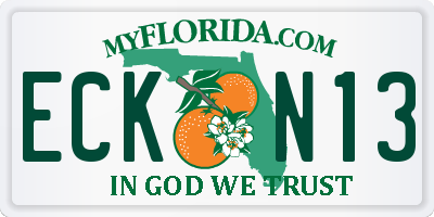 FL license plate ECKN13