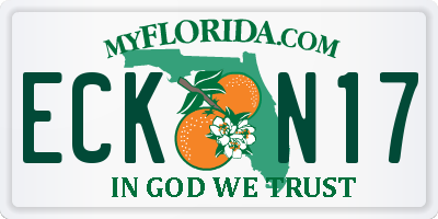 FL license plate ECKN17
