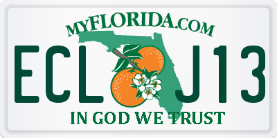 FL license plate ECLJ13