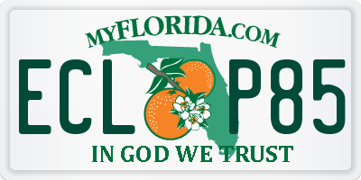 FL license plate ECLP85