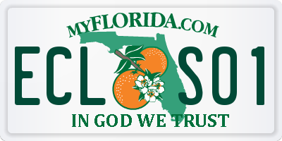 FL license plate ECLS01