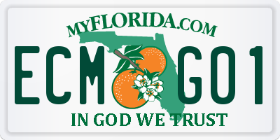 FL license plate ECMG01