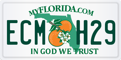 FL license plate ECMH29