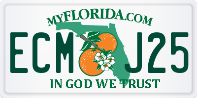 FL license plate ECMJ25