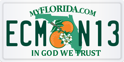 FL license plate ECMN13