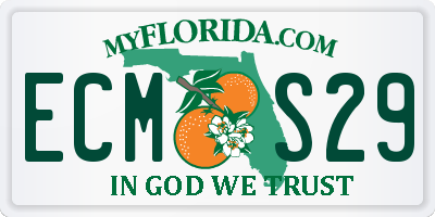 FL license plate ECMS29