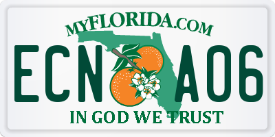 FL license plate ECNA06