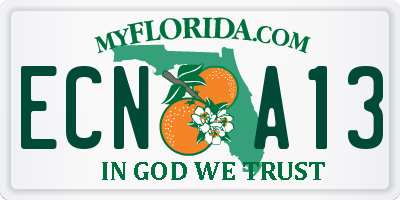 FL license plate ECNA13
