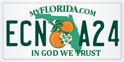 FL license plate ECNA24
