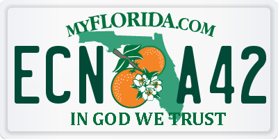 FL license plate ECNA42