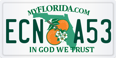 FL license plate ECNA53