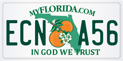 FL license plate ECNA56