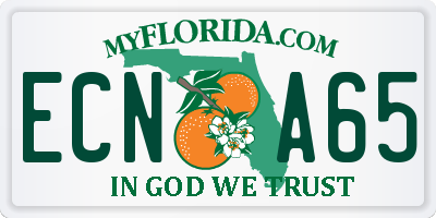 FL license plate ECNA65