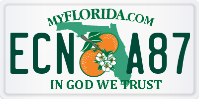 FL license plate ECNA87