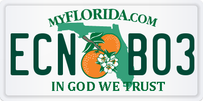 FL license plate ECNB03