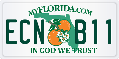 FL license plate ECNB11