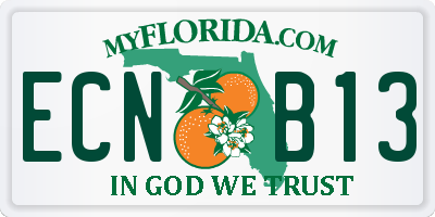 FL license plate ECNB13