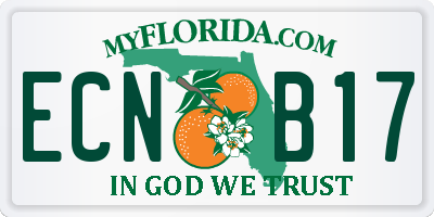 FL license plate ECNB17