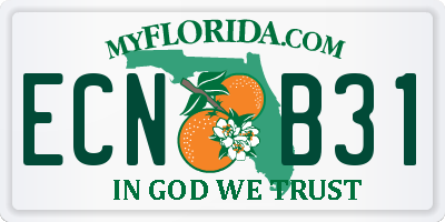 FL license plate ECNB31