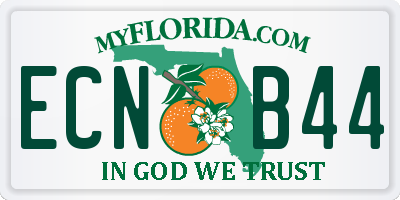FL license plate ECNB44