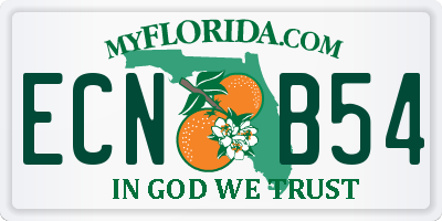 FL license plate ECNB54