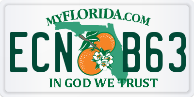 FL license plate ECNB63