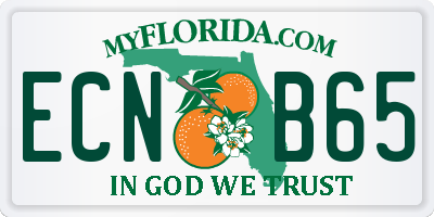 FL license plate ECNB65