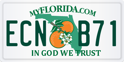FL license plate ECNB71