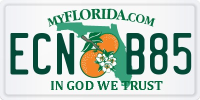 FL license plate ECNB85