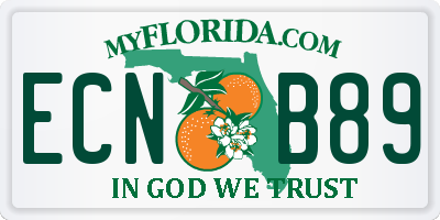 FL license plate ECNB89