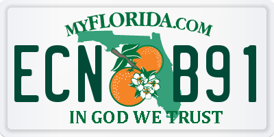 FL license plate ECNB91