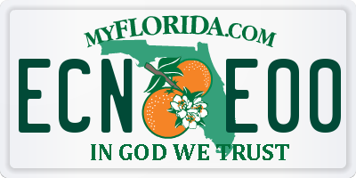 FL license plate ECNE00