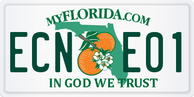 FL license plate ECNE01