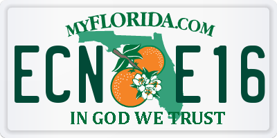 FL license plate ECNE16