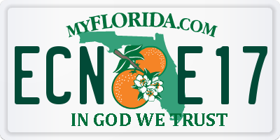 FL license plate ECNE17