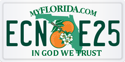 FL license plate ECNE25