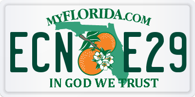 FL license plate ECNE29