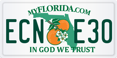 FL license plate ECNE30