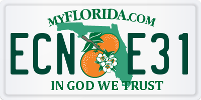 FL license plate ECNE31