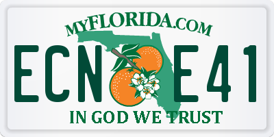 FL license plate ECNE41